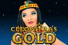 Spinsamurai game-thumb